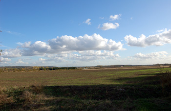 The flat countryside at Chalton October 2009